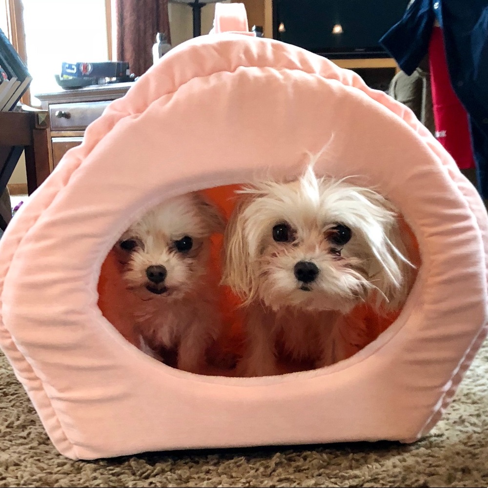 Meet your Posher, Becky